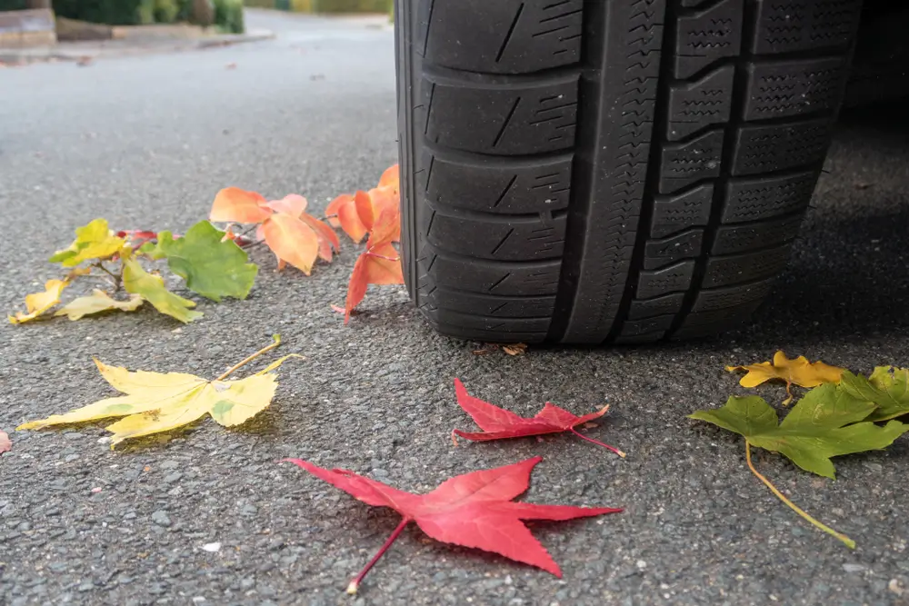 opony całoroczne czy warto