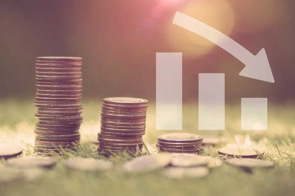 ubezpieczenie od utraty dochodu